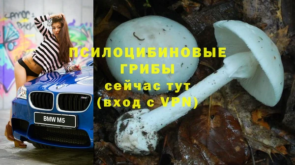 герыч Белокуриха